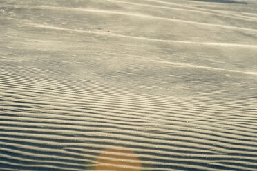 Neuseeland, Golden Bay, Wharariki Beach, Windmuster und Spiegelungen in einer Sanddüne - SHF001459