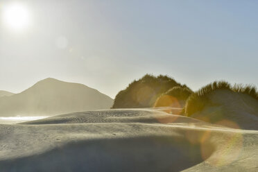 Neuseeland, Golden Bay, Wharariki Beach, Windmuster und Spiegelungen in einer Sanddüne - SHF001461