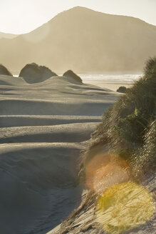 New Zealand, Golden Bay, Wharariki Beach, wind patterns and reflections in a sand dune - SHF001462