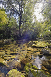 Neuseeland, Tasman, Golden Bay, Takaka, Bach entlang des Pupu Hydro Walkway - SHF001475