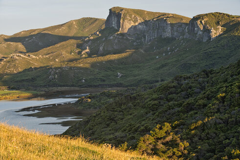 Neuseeland, Tasman, Golden Bay, Puponga, Klippen und einheimischer Busch in den Puponga-Hügeln nahe Cape Farewell - SHF001485