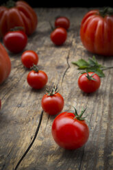 Verschiedene Tomaten, Ochsenherz-Tomaten, Kirschtomaten und Strauchtomaten - LVF001466