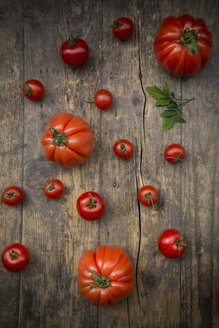 Verschiedene Tomaten, Ochsenherz-Tomaten, Kirschtomaten und Strauchtomaten - LVF001467
