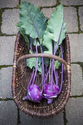 Korb mit blauen Kohlrabi, Brassica oleracea var. gongylodes L., Ansicht von oben - LVF001454