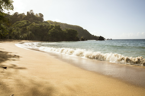 Caribbean, Trinidad and Tobago, Tobago, Englishman's Bay beach stock photo