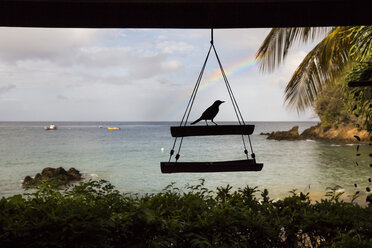 Karibik, Trinidad und Tobago, Tobago, Castara, Vogelsilhouette vor einem Regenbogen - SKF001586