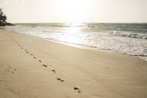 Karibik, Barbados, Silver Sands, Schritte am Strand, lizenzfreies Stockfoto