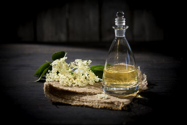 Glasflasche mit hausgemachtem Holunderblütensirup und Holunderblüten, Sambucus, auf Jute - MAEF008520