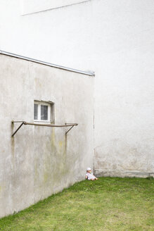 Deutschland, trüber Hinterhof mit Puppe, die in einer Ecke im Gras sitzt - DRF000696