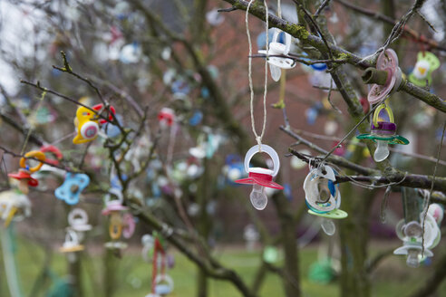 Deutschland, Niedersachsen, Ostfriesland, Langeoog, Schnuller hängen am Baum - JAT000745