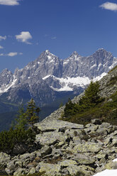 Österreich, Steiermark, Bezirk Liezen, Tauern, Reiteralm, Blick zum Dachstein - GFF000520