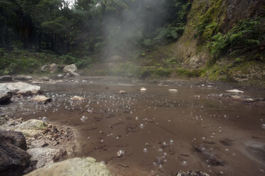 Portugal, Azoren, Sao Miguel, Furnas, heiße Quelle - ZCF000102