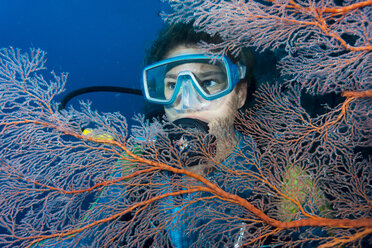 Australien, Great Barrier Reef, Taucher hinter Fächern - JWAF000100