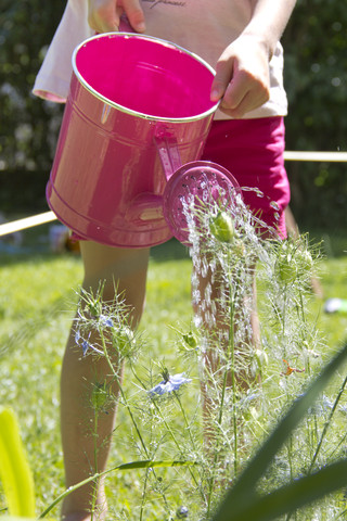 Kleines Mädchen gießt Pflanzen mit rosa Gießkanne im Garten, Teilansicht, lizenzfreies Stockfoto