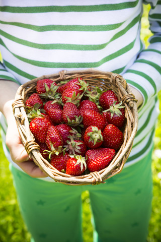 Mädchen hält Korb mit Erdbeeren, Teilansicht, lizenzfreies Stockfoto