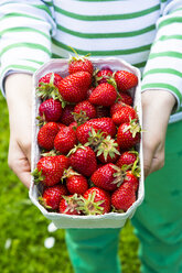 Mädchen hält Kartonschachtel mit Erdbeeren, Teilansicht - LVF001504