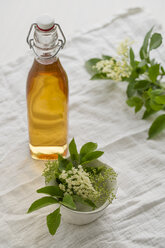 Glasflasche mit hausgemachtem Holunderblütensirup und Holunderblüten - MYF000464