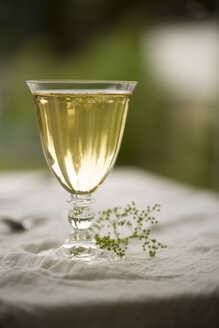 Glas mit hausgemachtem Holunderblütensirup und Holunderblüten - MYF000462