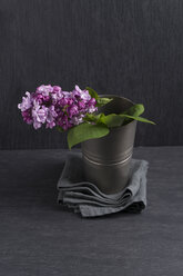 Common lilac, Syringa vulgaris, in a tin cup - MYF000457