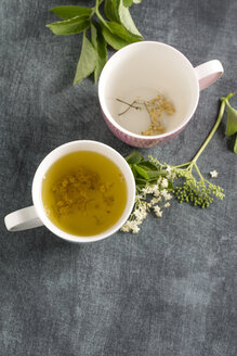 Elderberry tea in tea cup and elderflower - MYF000465