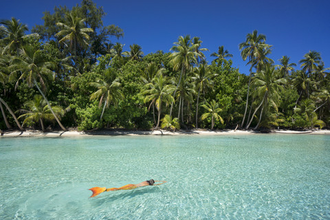 Palau, junge Frau im Meerjungfrauenkostüm beim Schwimmen in einer Lagune, lizenzfreies Stockfoto