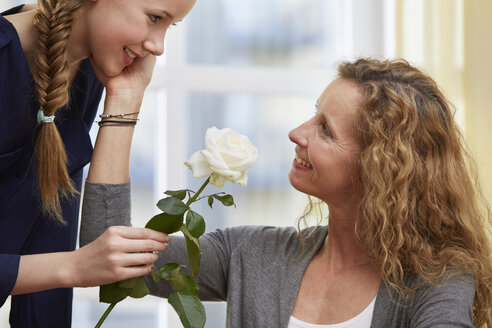 Tochter schenkt ihrer Mutter eine weiße Rosenblüte - STKF001057