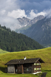 Österreich, Allgäuer Hochalpen, Kleiner Widderstein im Nebel und Bauernhaus - STSF000411