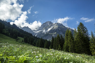 Österreich, Allgäuer Hochalpen, Großer Widderstein - STSF000413