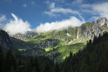 Austria, Allgaeu High Alps, Heiterberg, Baergunttal - STSF000414