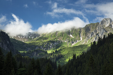 Österreich, Allgäuer Hochalpen, Heiterberg, Bärengunttal - STSF000414