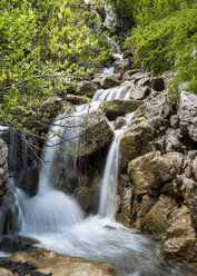 Österreich, Allgäuer Hochalpen, Baerguntbach im Kleinwalsertal - STSF000416