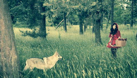 Rotkäppchen geht im Wald spazieren, lizenzfreies Stockfoto