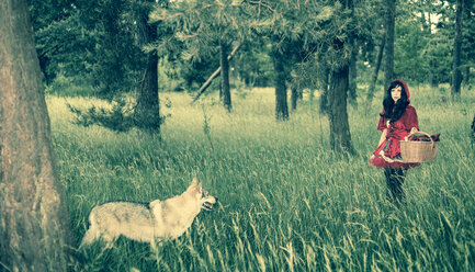 Rotkäppchen geht im Wald spazieren - FCF000273