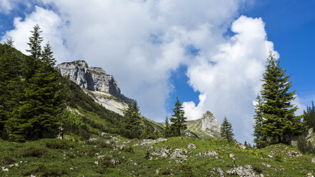 Österreich, Tirol, Allgäuer Hochalpen, Naturschutzgebiet Hoher Ifen, Mahdtal, Torkopf - STSF000421