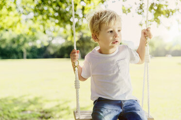 Germany, Bonn, Male toddler sitting on swing under tree in nature, looking away - MFF001140