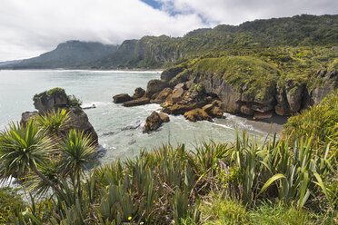 Neuseeland, Südinsel, Punakaiki, Klippen an der Küste der Pancake Rocks im Paparoa National Park - SHF001502