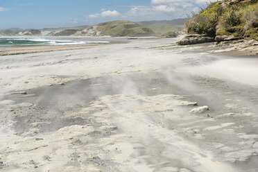 Neuseeland, Südinsel, Tasman, Kahurangi Point, windgepeitschter Strand - SHF001523