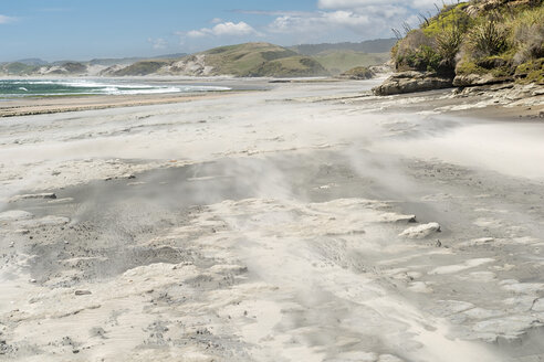 New Zealand, South Island, Tasman, Kahurangi Point, windblown beach - SHF001523