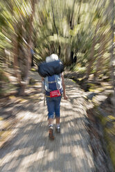 Neuseeland, Südinsel, Tasman, Kahurangi national park, Mädchen mit Rucksack wandern - SHF001527