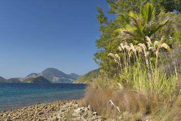 Neuseeland, Südinsel, Marlborough Sounds, Tennyson Inlet, Küstenlinie in den Sounds von Duncan Bay - SHF001545