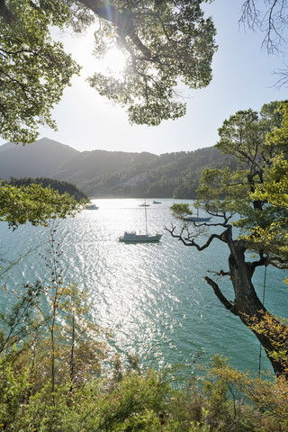 Neuseeland, Südinsel, Marlborough Sounds, Tennyson Inlet, Sounds of Duncan Bay, lizenzfreies Stockfoto