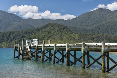 Neuseeland, Südinsel, Marlborough Sounds, Tennyson Inlet, Holzsteg und Hügel in den Sounds der Penzance Bay - SHF001564