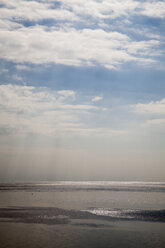 Deutschland, Niedersachsen, Ostfriesland, Norddeich, Nationalpark Niedersächsisches Wattenmeer - WIF000865