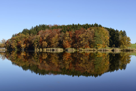 Deutschland, Bayern, Oberbayern, Münsing, Degerndorf, Weiher Sonderham, lizenzfreies Stockfoto