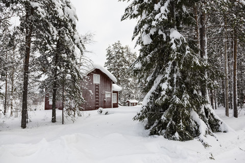 Skandinavien, Finnland, Kittilaentie, Leere Holzhütte im Wald im Winter, lizenzfreies Stockfoto