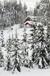 Skandinavien, Finnland, Kittilaentie, Leere Holzhütte im Wald im Winter - SR000606