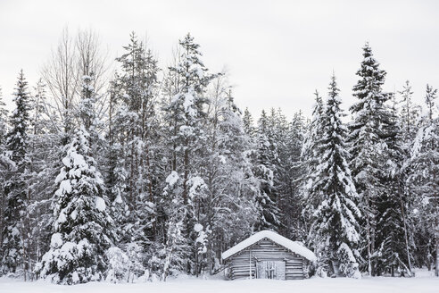 Skandinavien, Finnland, Kittilaentie, Holzhütte im Wald, Winter - SR000607