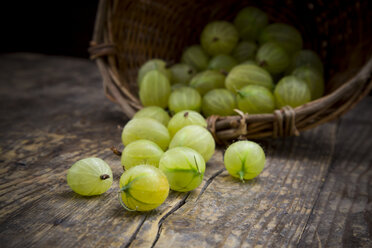 Gooseberries and wicker basket - LVF001531