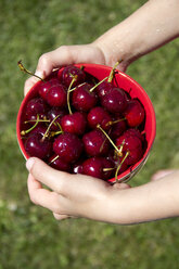 Girl holding bowl of sweet cherries - YFF000195
