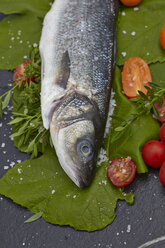 Germany, Sea bass with tomatoes and thyme - AKF000398